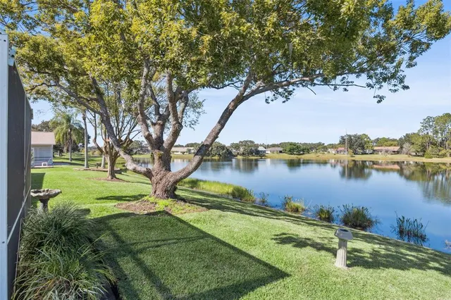 a view of a swimming pool with a yard