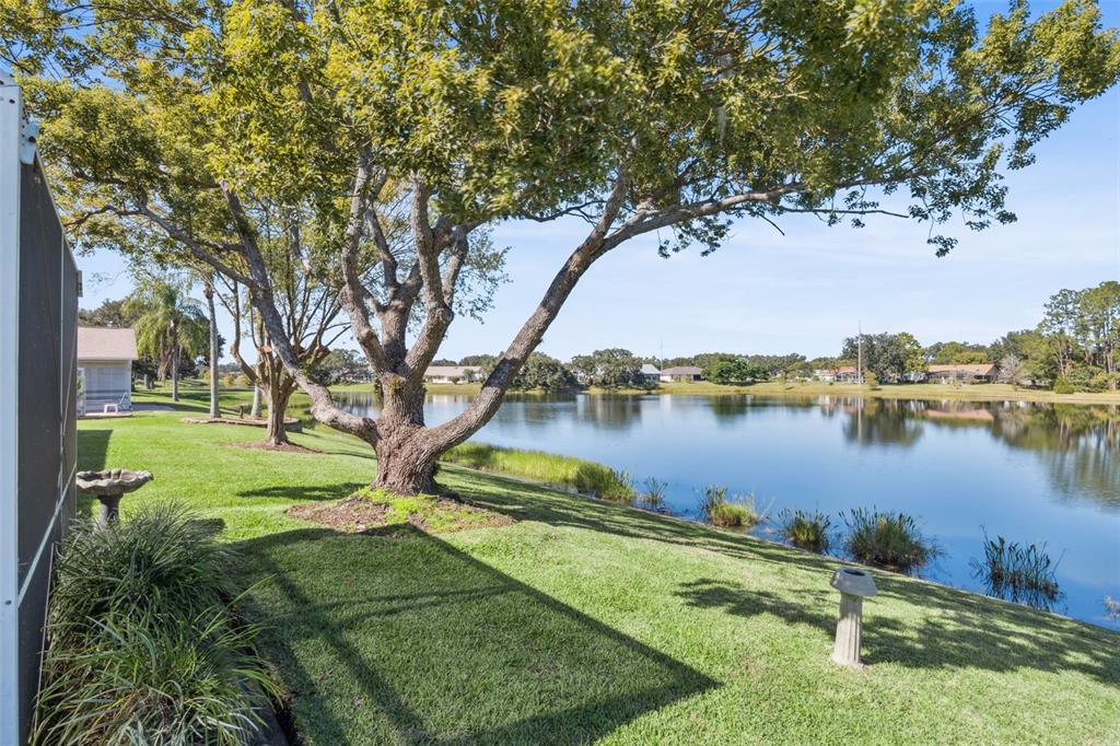 26450 Evert Street Leesburg, FL 34748 - Photo 43 of 93