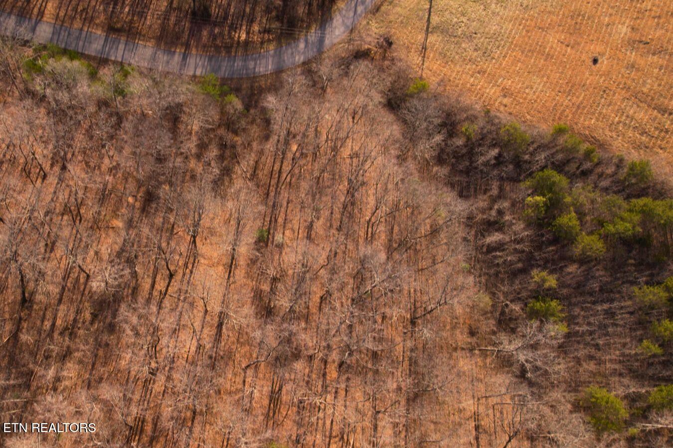 147 Saddle Ridge Drive Speedwell, TN 37870 - Photo 11 of 38 Saddleridge (13)