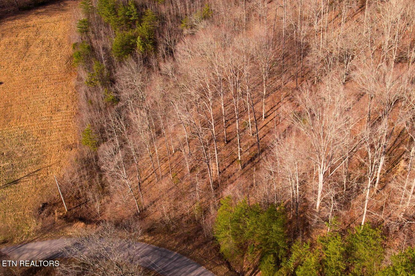 147 Saddle Ridge Drive Speedwell, TN 37870 - Photo 12 of 38 Saddleridge (11)