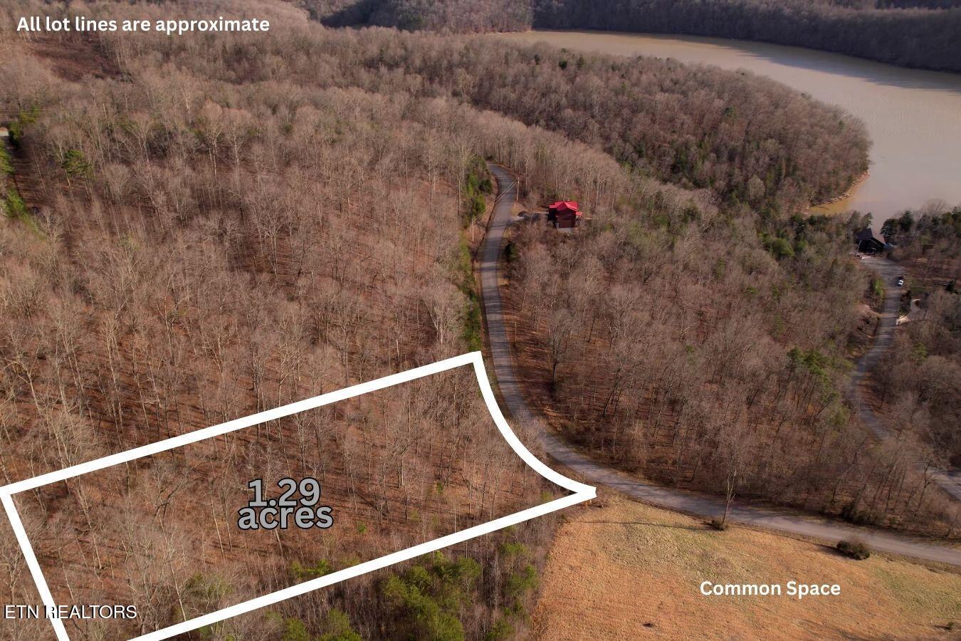 147 Saddle Ridge Drive Speedwell, TN 37870 - Photo 13 of 38 The Cutali Group