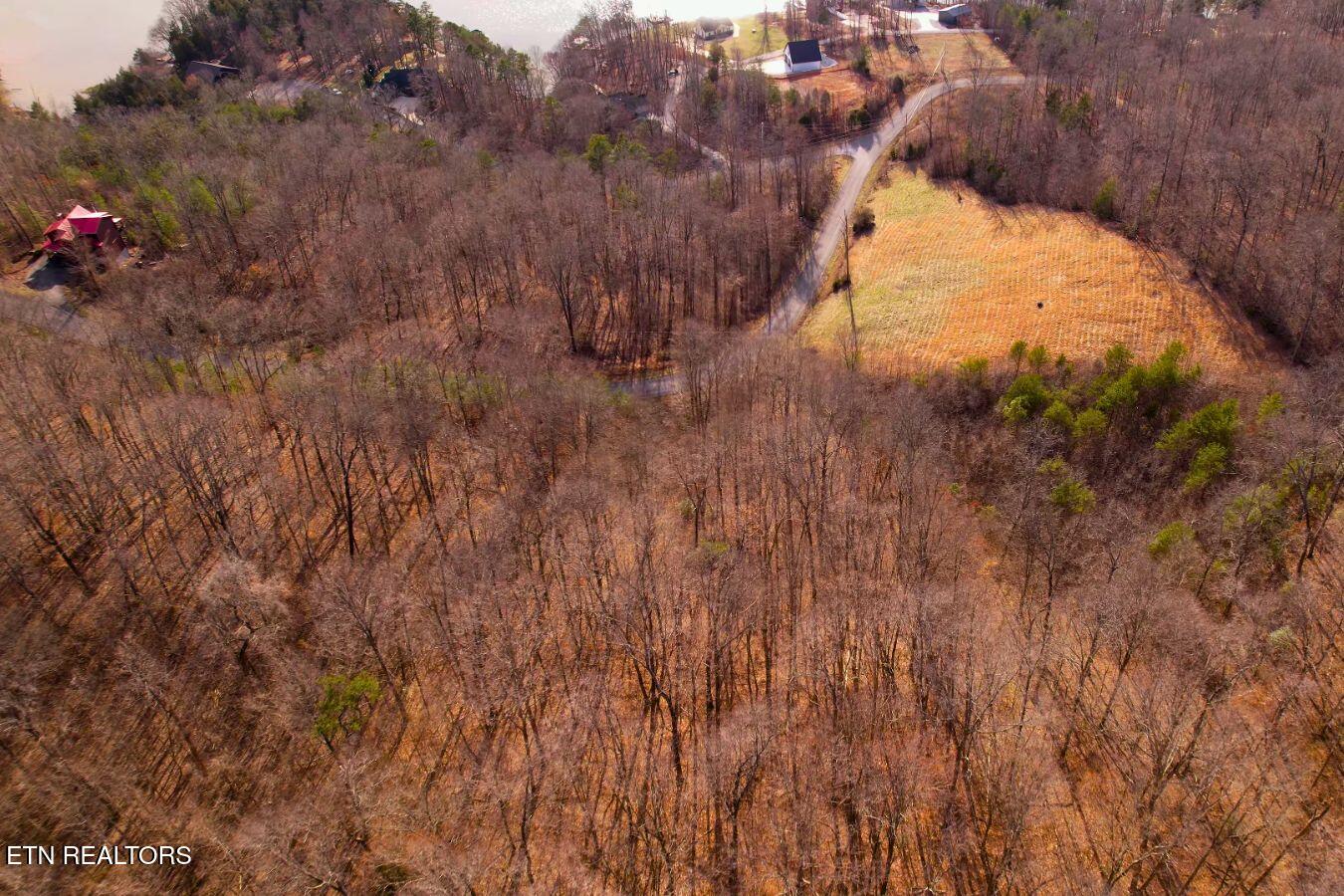 147 Saddle Ridge Drive Speedwell, TN 37870 - Photo 14 of 38 Lot 147 Saddle Ridge The Cutali Group