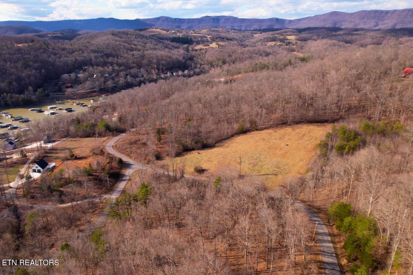 147 Saddle Ridge Drive Speedwell, TN 37870 - Photo 15 of 38 Saddleridge (20)