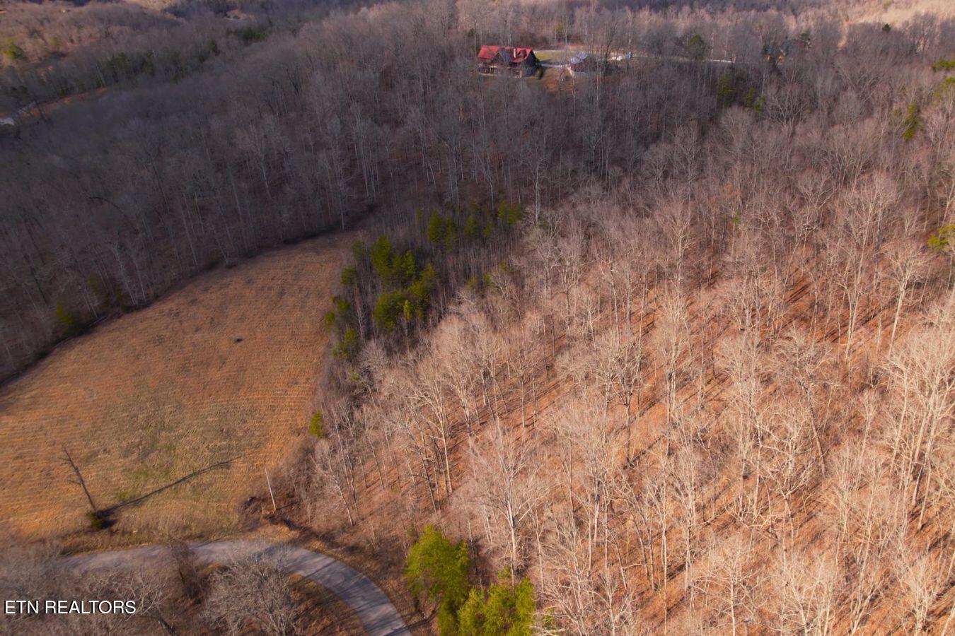 147 Saddle Ridge Drive Speedwell, TN 37870 - Photo 16 of 38 Saddleridge (8)