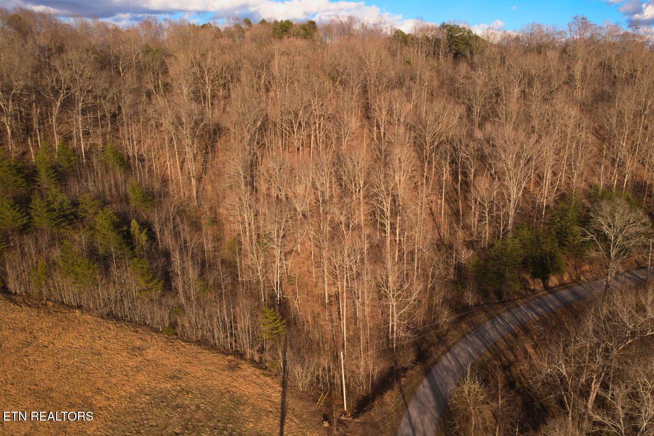 147 Saddle Ridge Drive Speedwell, TN 37870 - Photo 17 of 38 Saddleridge (7)