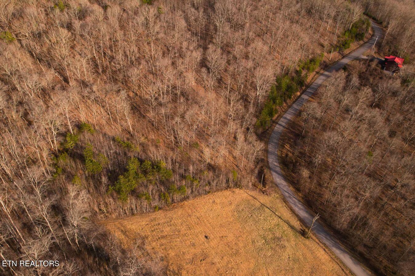 147 Saddle Ridge Drive Speedwell, TN 37870 - Photo 19 of 38 Saddleridge (3)