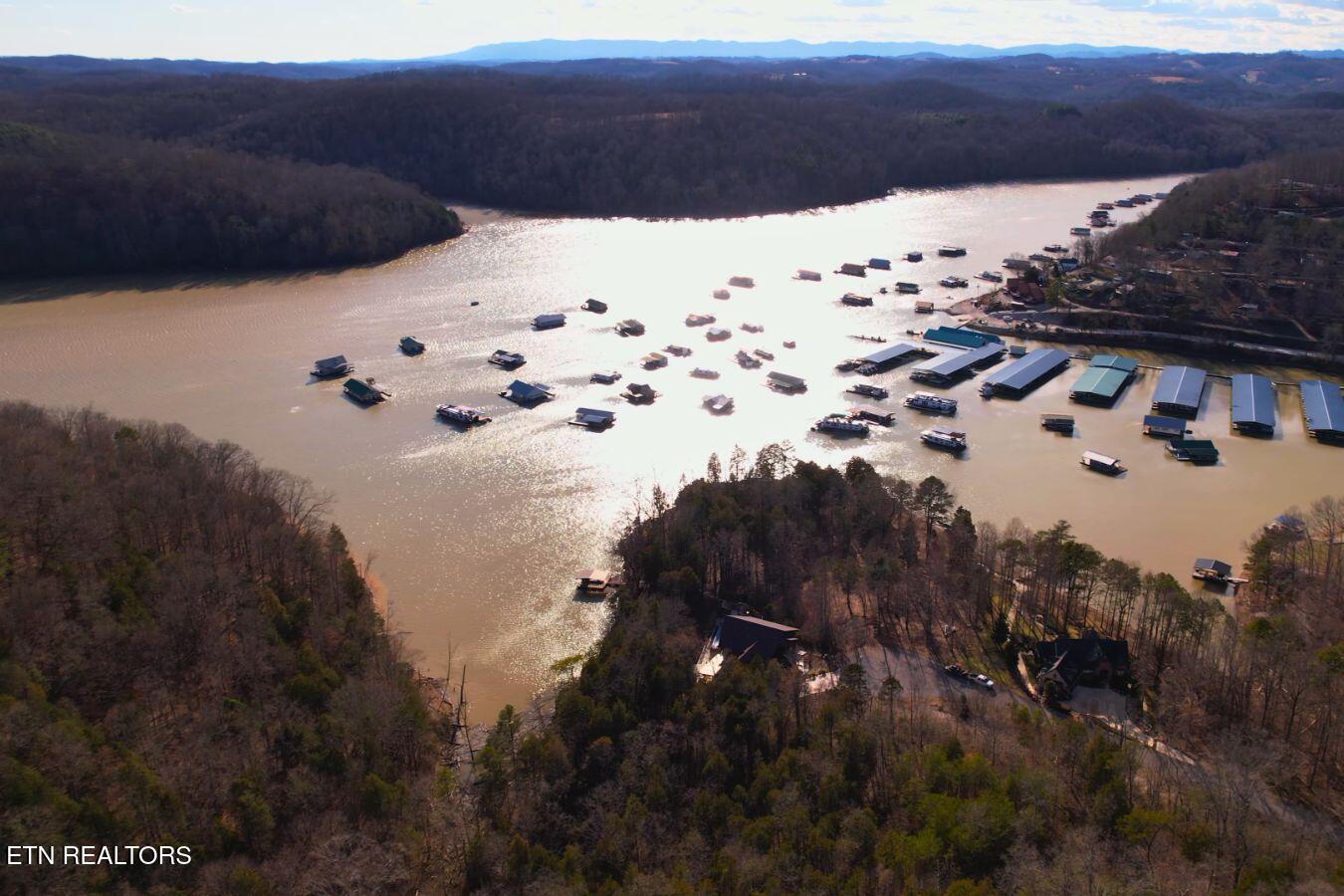 147 Saddle Ridge Drive Speedwell, TN 37870 - Photo 3 of 38 Norris Lake View