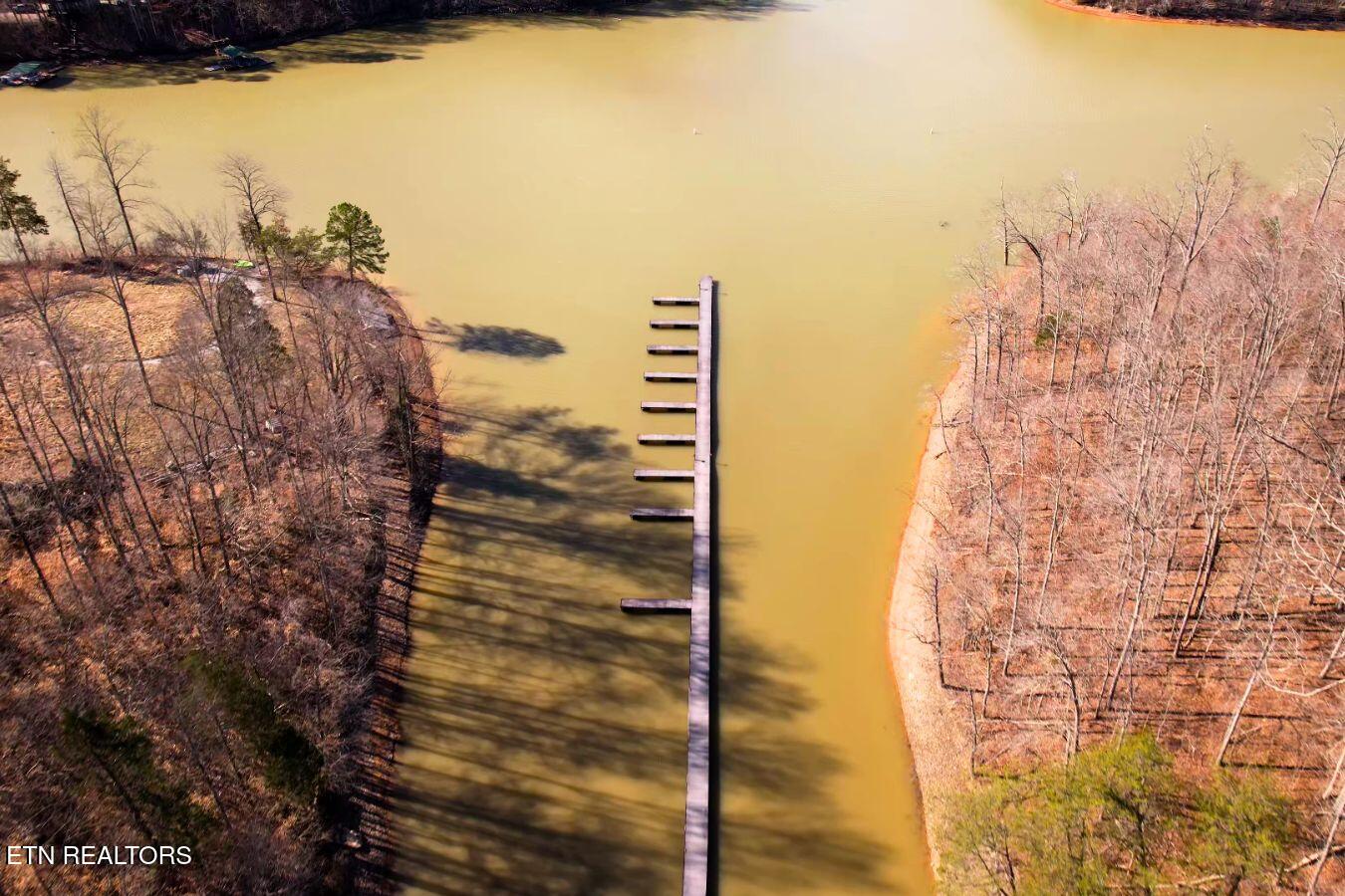 147 Saddle Ridge Drive Speedwell, TN 37870 - Photo 36 of 38 Overlook Bay Boat Slips