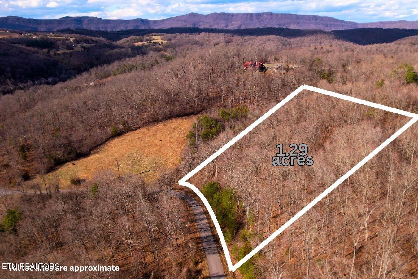 147 Saddle Ridge Drive Speedwell, TN 37870 - Photo 5 of 38 Saddleridge (34)