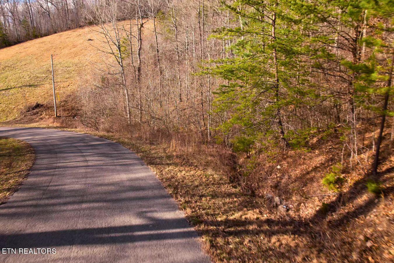 147 Saddle Ridge Drive Speedwell, TN 37870 - Photo 7 of 38 Saddleridge (19)