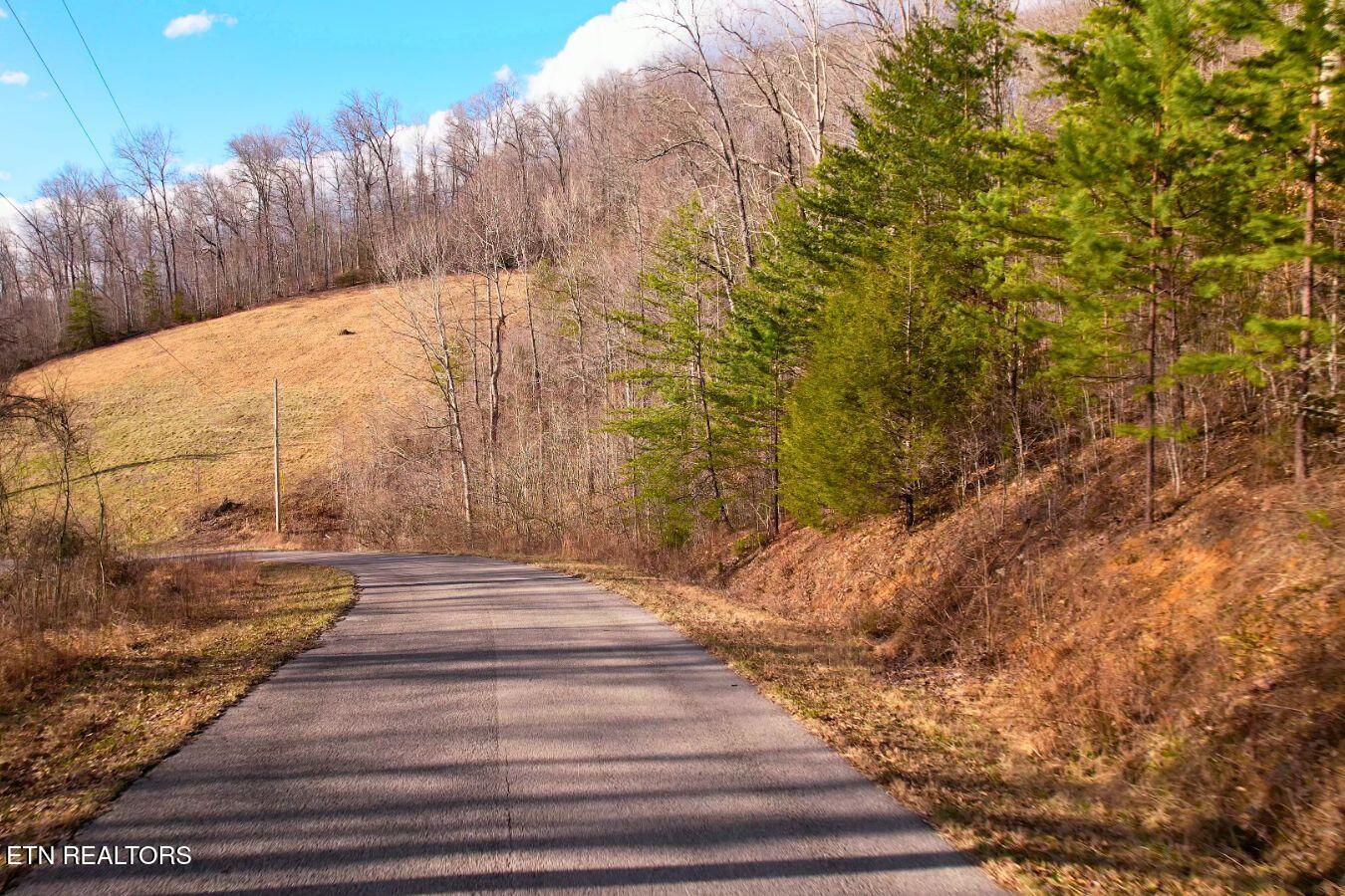 147 Saddle Ridge Drive Speedwell, TN 37870 - Photo 8 of 38 Saddleridge (18)