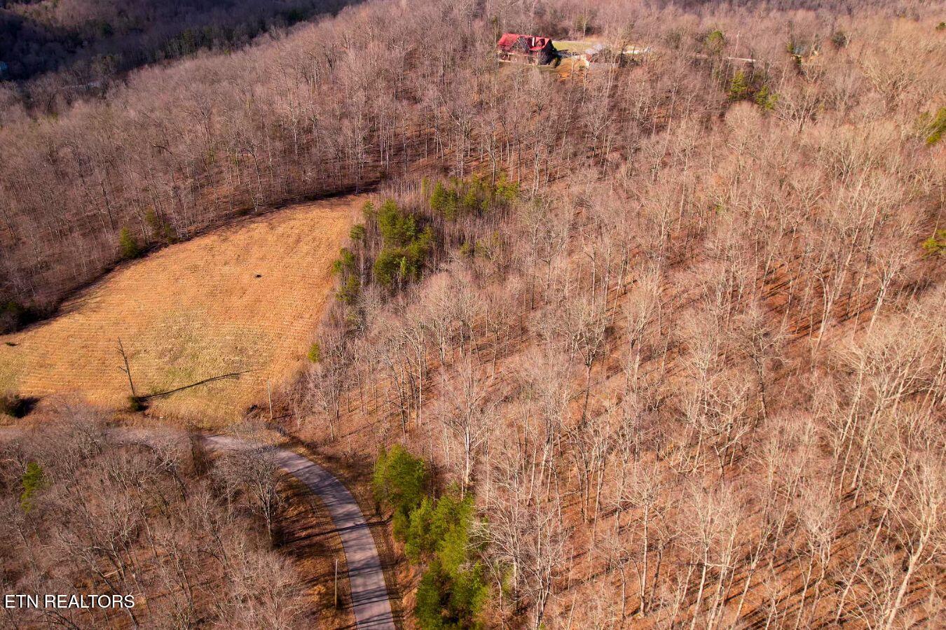 147 Saddle Ridge Drive Speedwell, TN 37870 - Photo 9 of 38 Saddleridge (16)