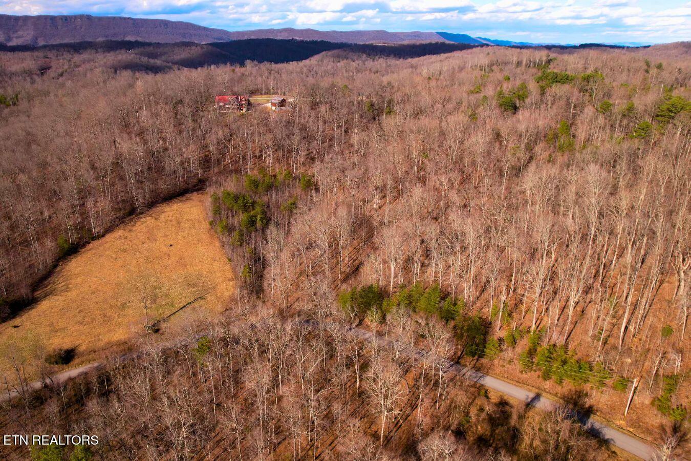 147 Saddle Ridge Drive Speedwell, TN 37870 - Photo 10 of 38 Saddleridge (14)