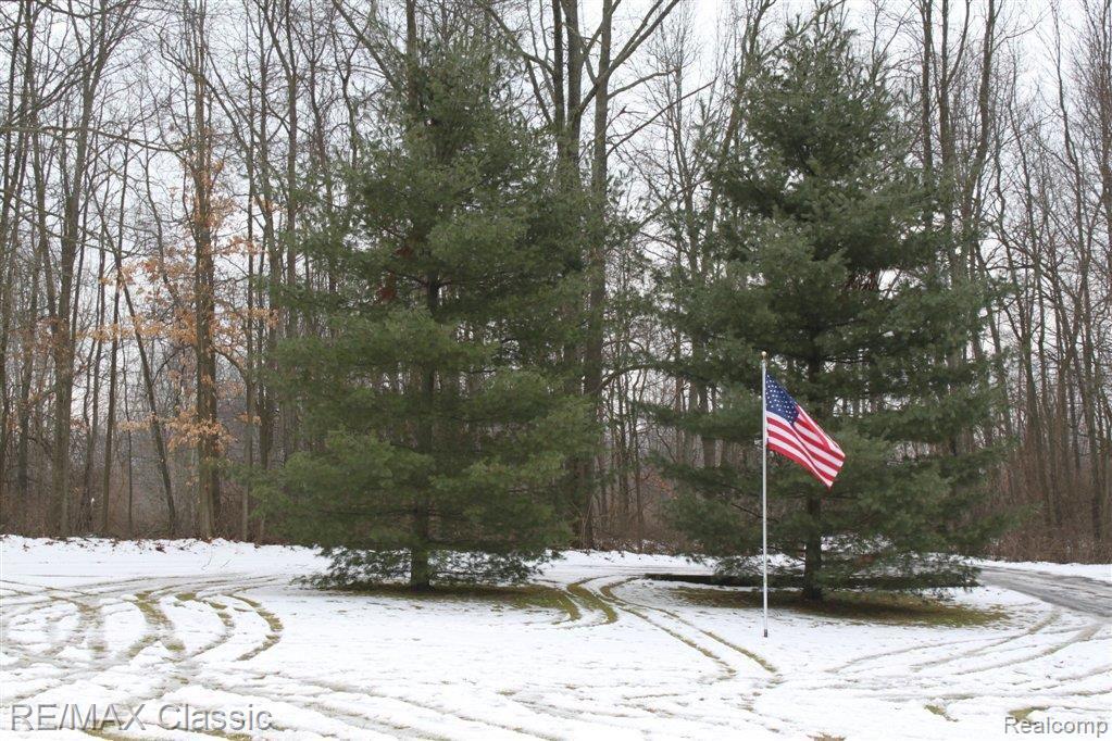 20300 Spears Road Pinckney, MI 48169 - Photo 11 of 14 Spears yard and flag best.JPG
