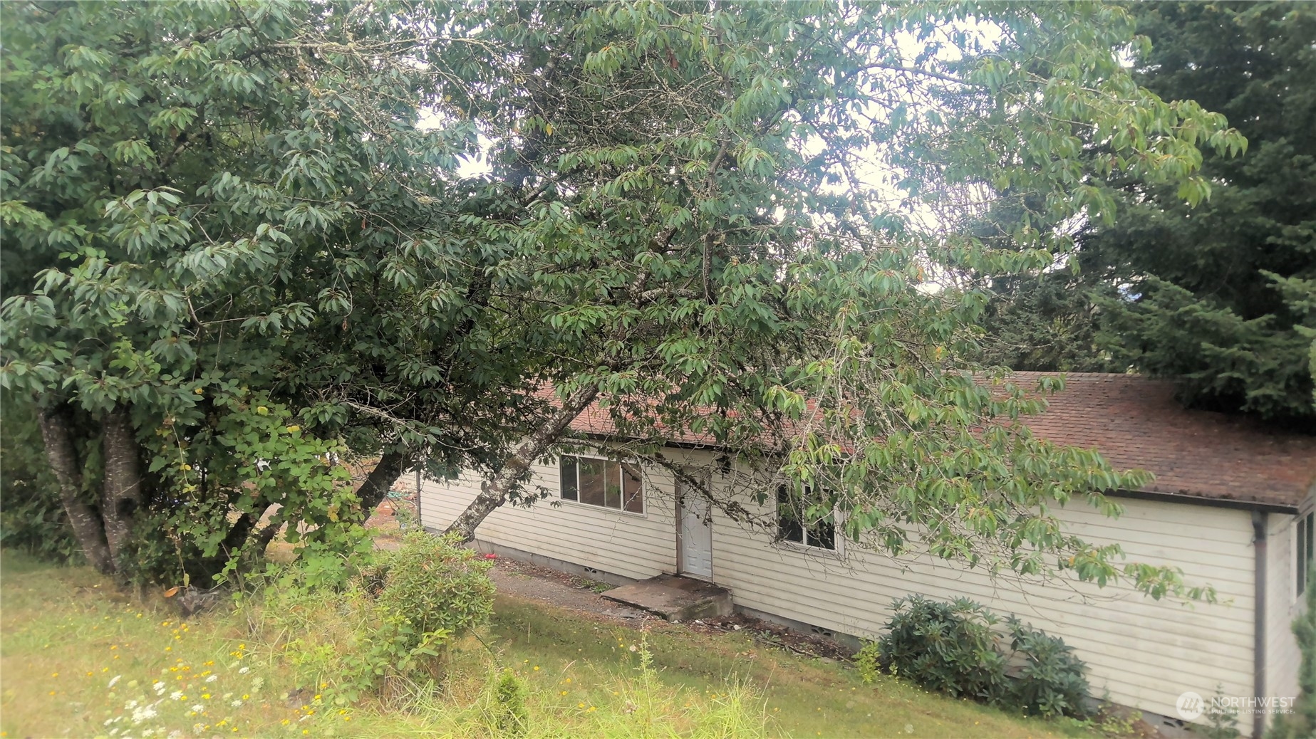 816 Ham Hill Road Centralia, WA 98531 - Photo 2 of 28 Gallery Image 2