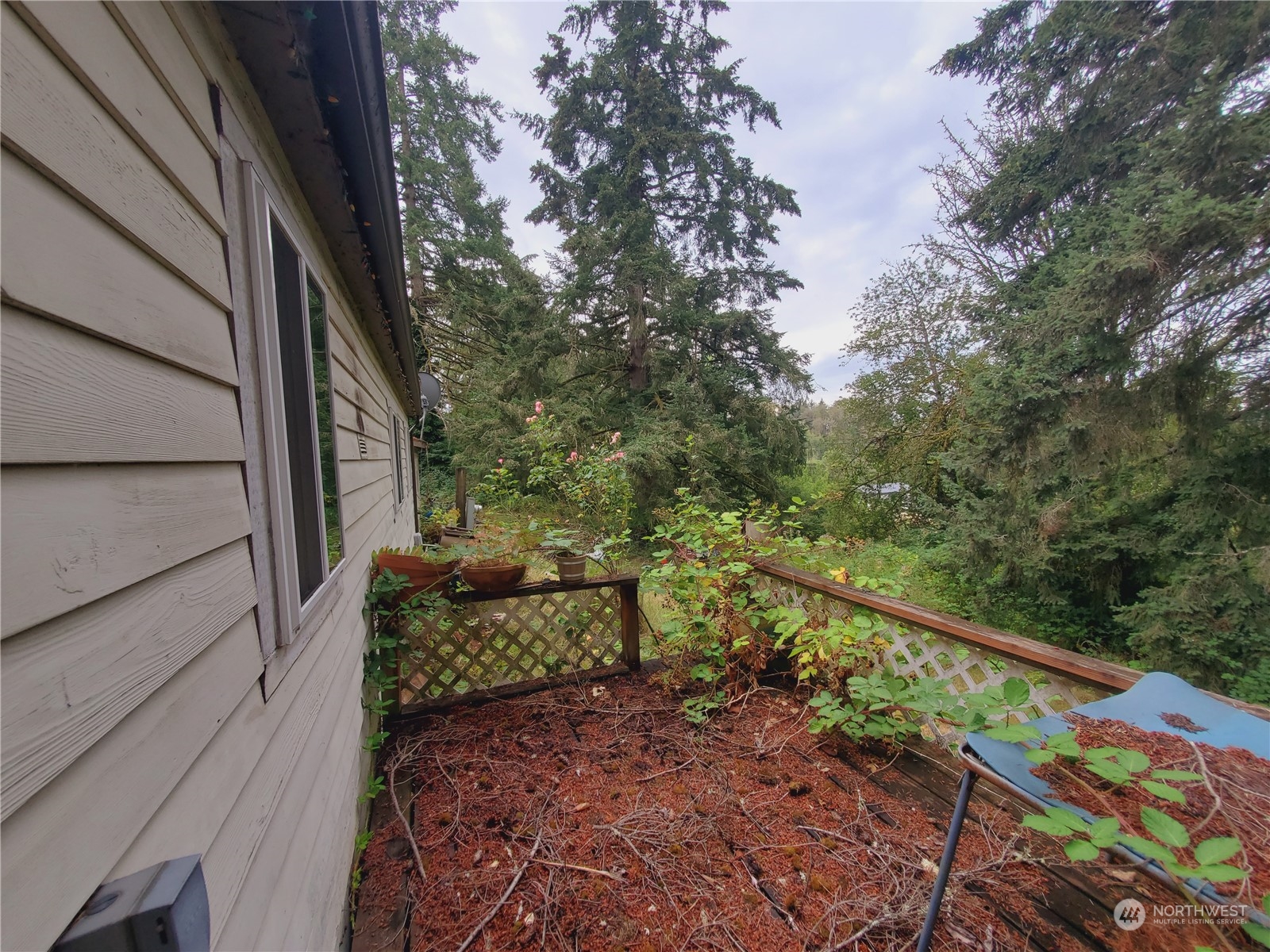 816 Ham Hill Road Centralia, WA 98531 - Photo 21 of 28 Gallery Image 21