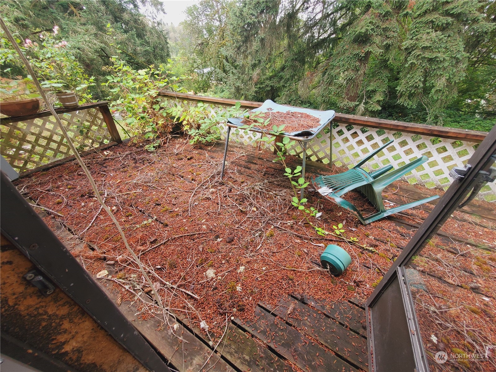 816 Ham Hill Road Centralia, WA 98531 - Photo 22 of 28 Gallery Image 22