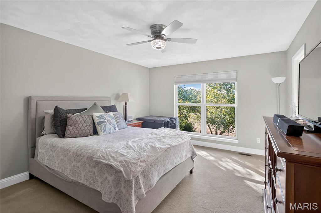 216 Sarah Court Waterloo, IL 62298 - Photo 28 of 56