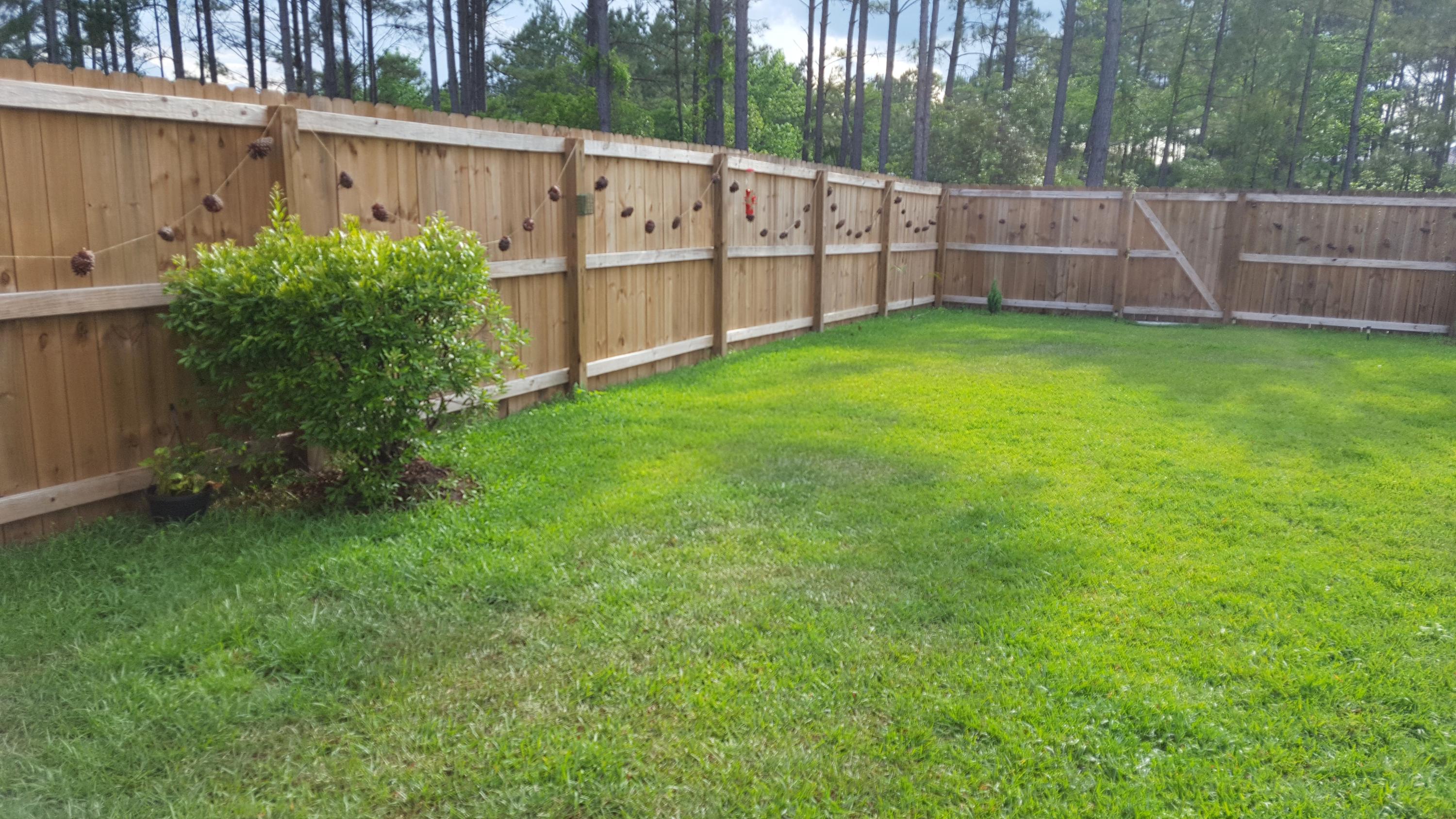 323 Iveson Road Summerville, SC 29486 - Photo 46 of 56 20160503_173653
