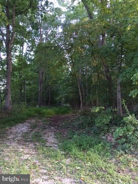 Lot 16 East Walnut Grove Road Fawn Grove, PA 17321 - Photo 1 of 1 Gallery Image 1