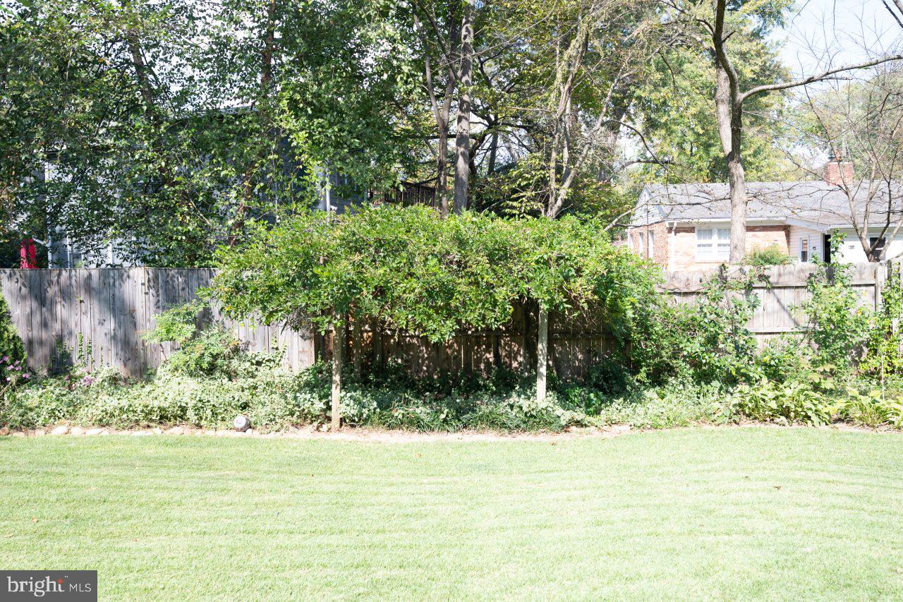 2004 Shenandoah Road Alexandria, VA 22308 - Photo 36 of 50 Wysteria....