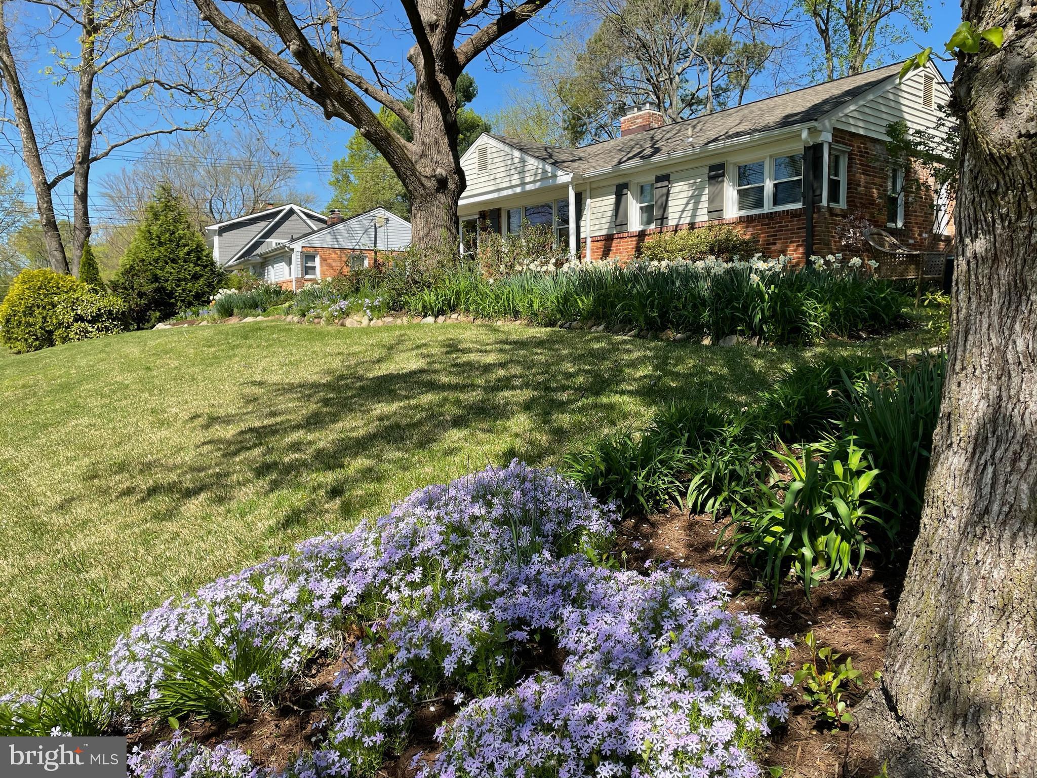 2004 Shenandoah Road Alexandria, VA 22308 - Photo 47 of 50 All the flowers....