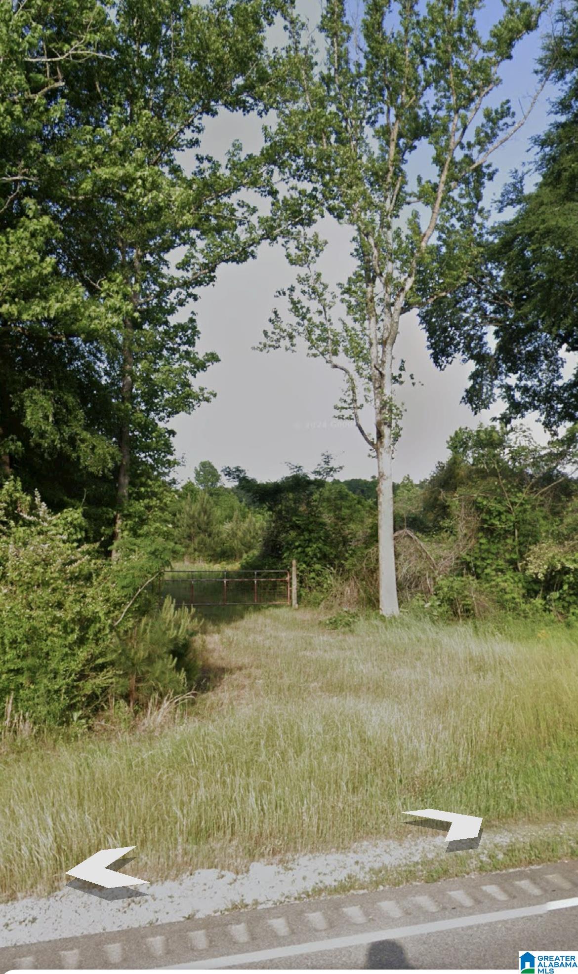 0 Highway 231 Vincent, AL 35178 - Photo 2 of 2