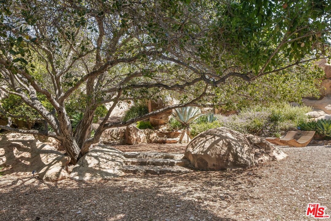 7336 Studio Road West Hills, CA 91304 - Photo 33 of 56 a view of a yard with some trees