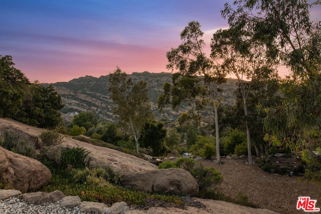 7336 Studio Road West Hills, CA 91304 - Photo 50 of 56 a view of a forest with a mountain in the background