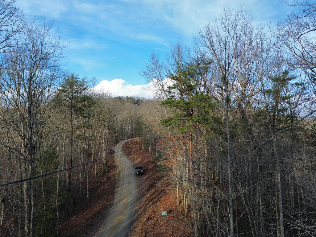 2 Century Lane Blue Ridge, GA 30513 - Photo 36 of 50 Gallery Image 36