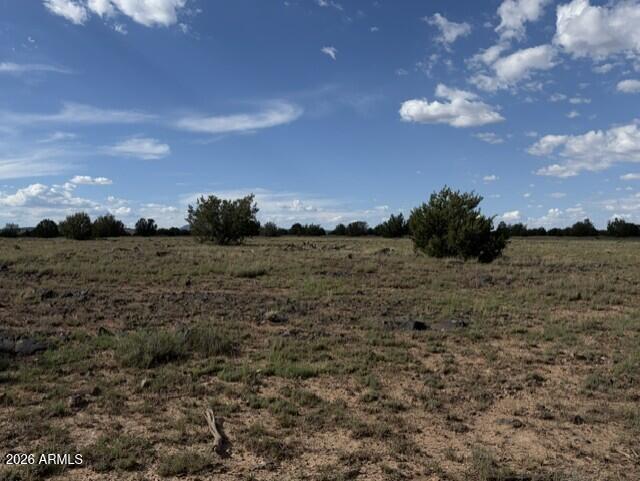 10230 Rocky Rabbit Road Ash Fork, AZ 86320 - Photo 6 of 14 10230 W Rocky Rabbit RD