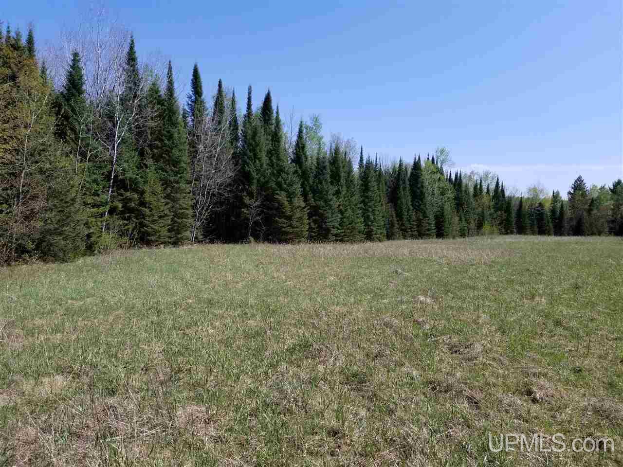 Tbd South Menominee Co Line Road Bark River, MI 49807 - Photo 9 of 13