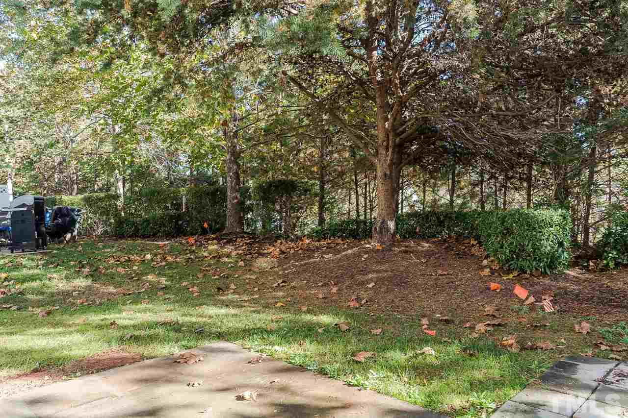 8312 City Loft Court Raleigh, NC 27613 - Photo 19 of 23 a view of a tree in the middle of a yard
