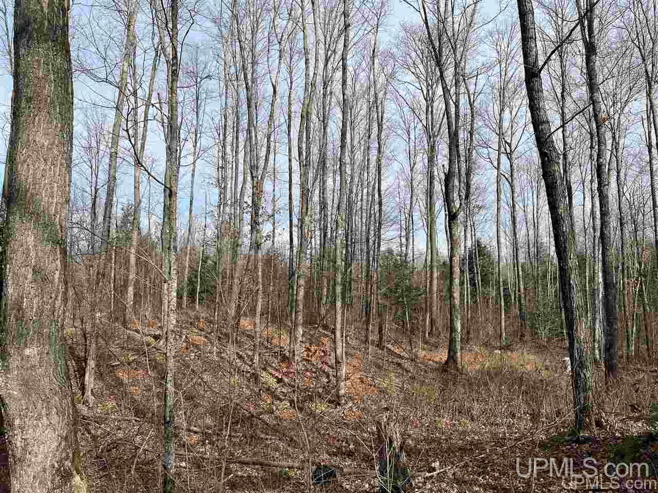 6978 W Coffee Road Montreal, WI 54550 - Photo 17 of 48