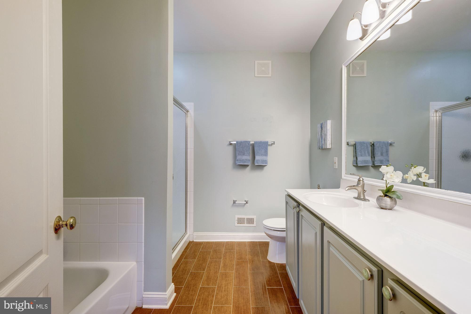 117 Bucksfield Road Gaithersburg, MD 20878 - Photo 18 of 29 Master Bath with oversized vanity