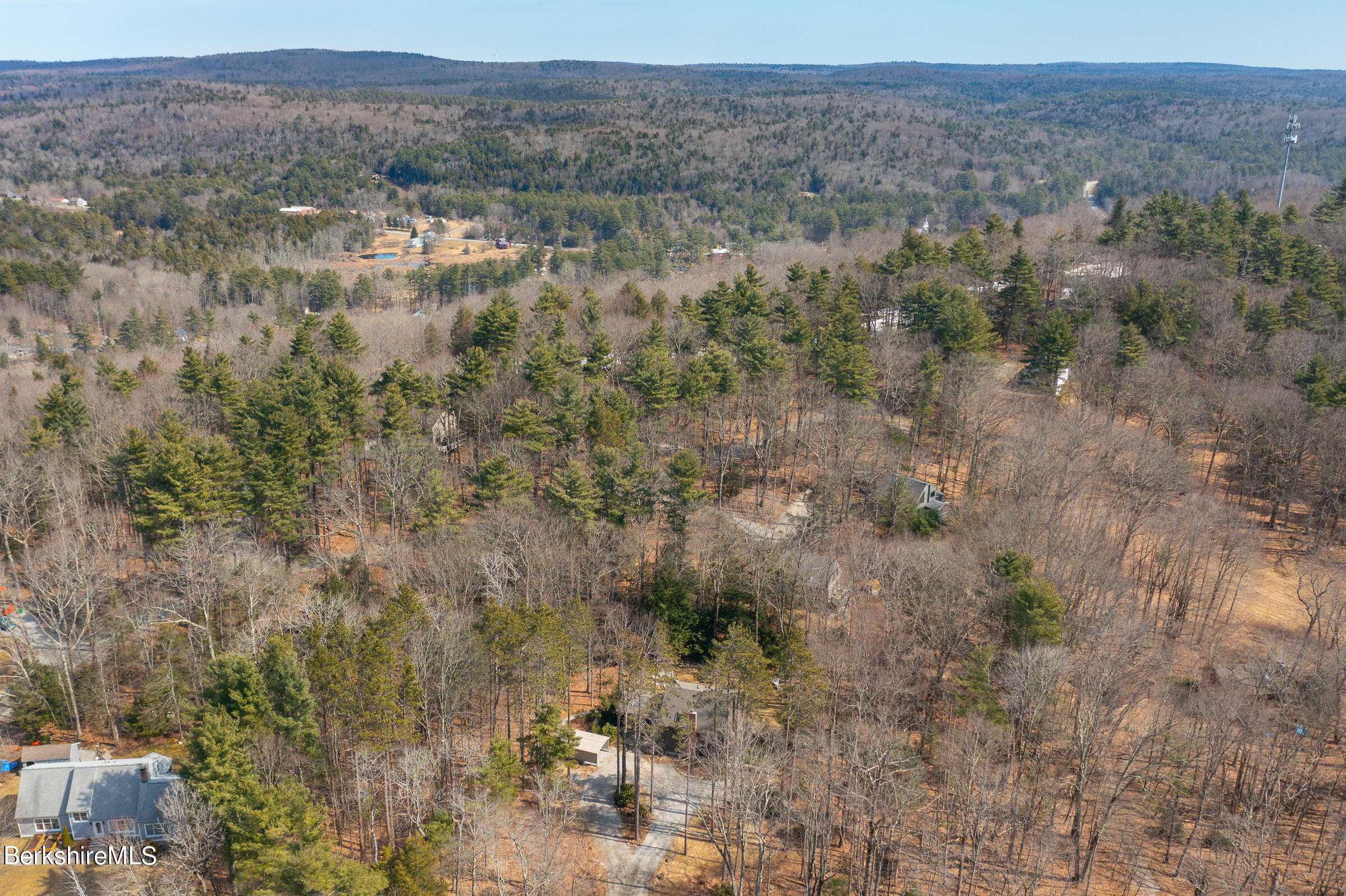 201 Judd Road Otis, MA 01253 - Photo 7 of 38 a view of a lot of trees and bushes