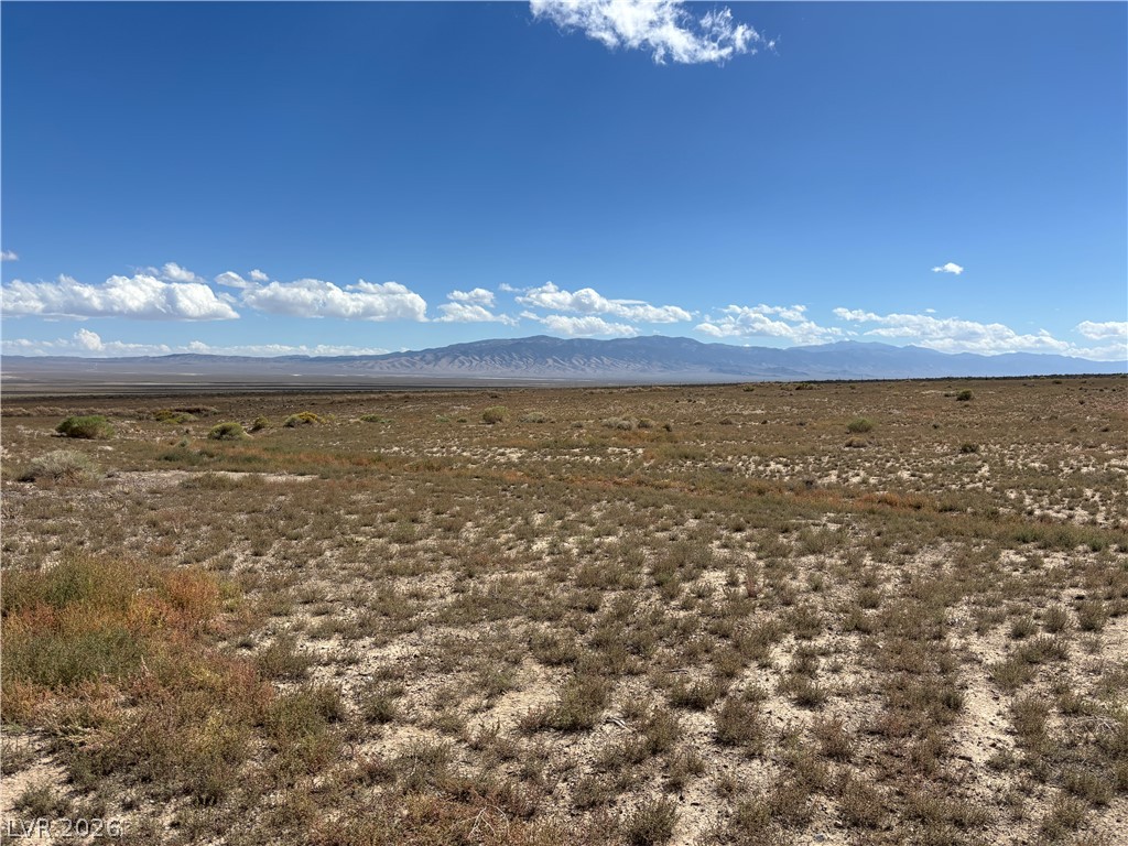 31 (n Spring Valley Ely, NV 89301 - Photo 6 of 10 Distant mountains frame the wide horizon of this open desert landscape under blue skies.