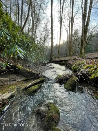 $550,000 | 925 Newcomb Branch Way, Cosby, TN 37722