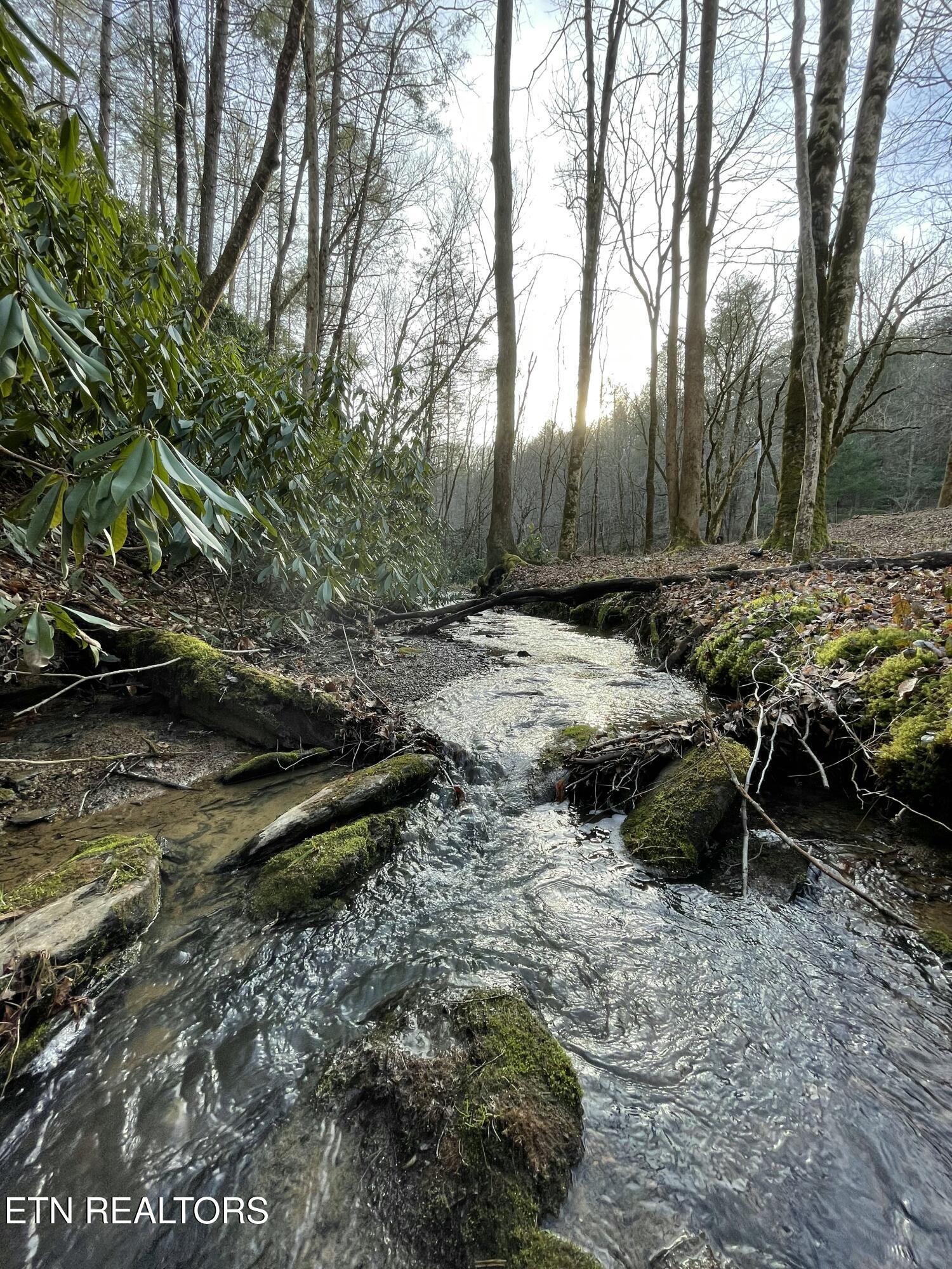 925 Newcomb Branch Way Cosby, TN 37722 - Photo 24 of 31 IMG_9252