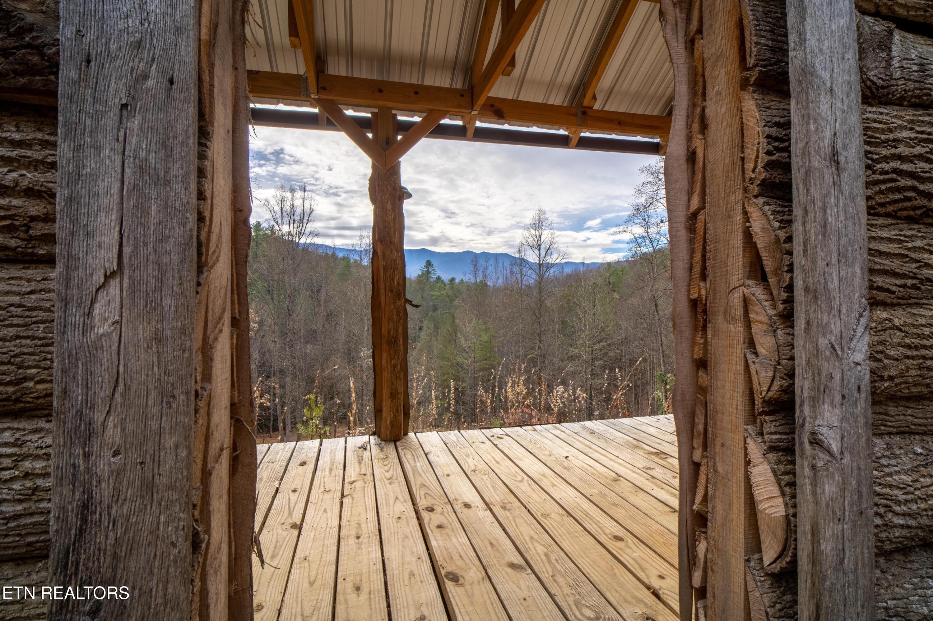 925 Newcomb Branch Way Cosby, TN 37722 - Photo 25 of 31 A7305209-HDR