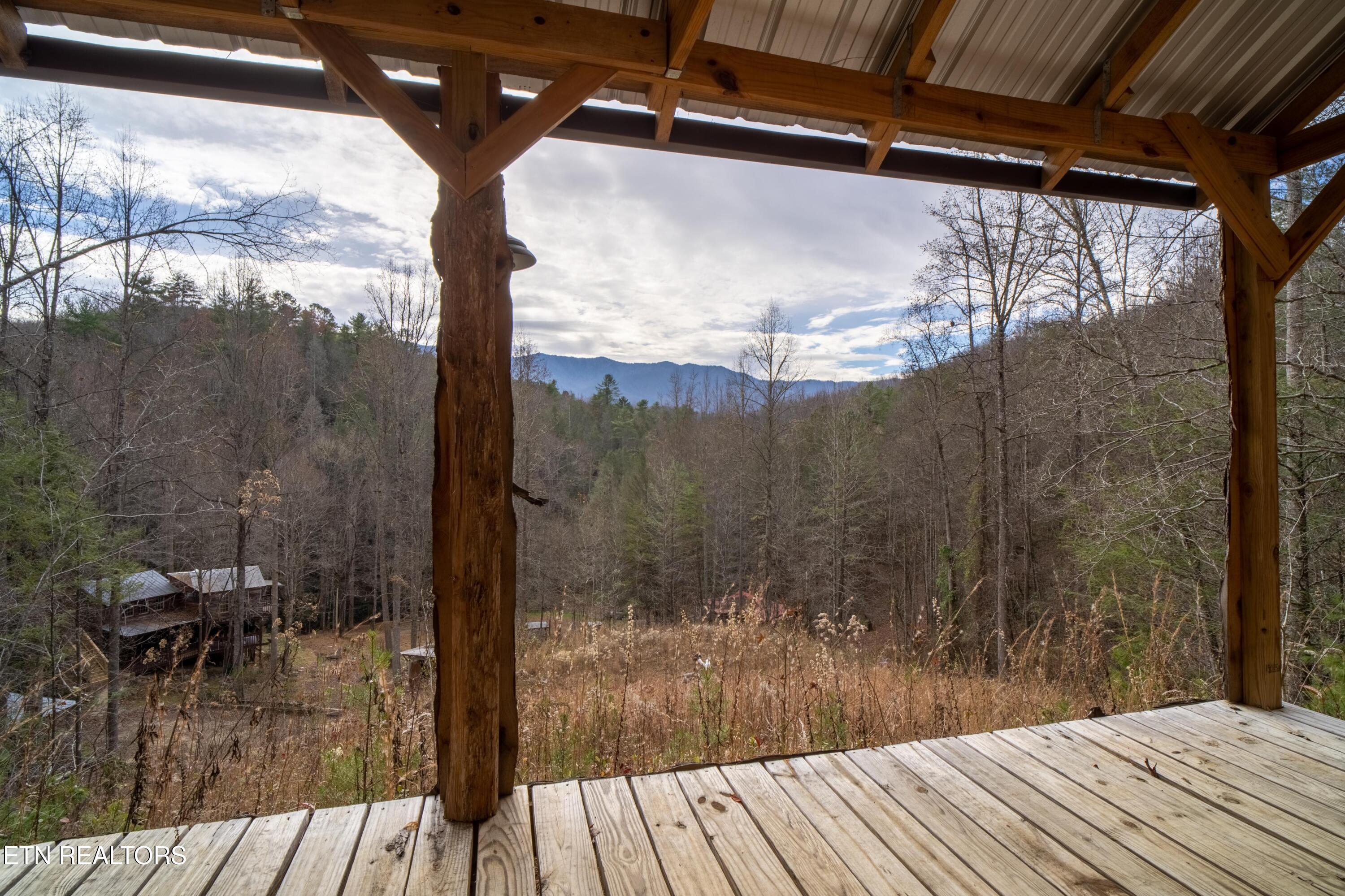 925 Newcomb Branch Way Cosby, TN 37722 - Photo 31 of 31 A7305219-HDR