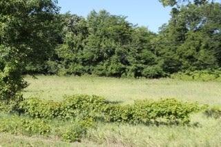 4200 Gilbertville Road Waterloo, IA 50702 - Photo 2 of 5 Gallery Image 2