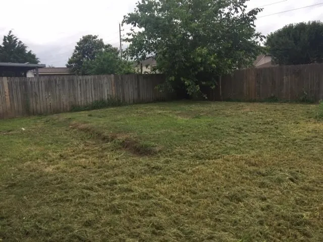 a view of a backyard