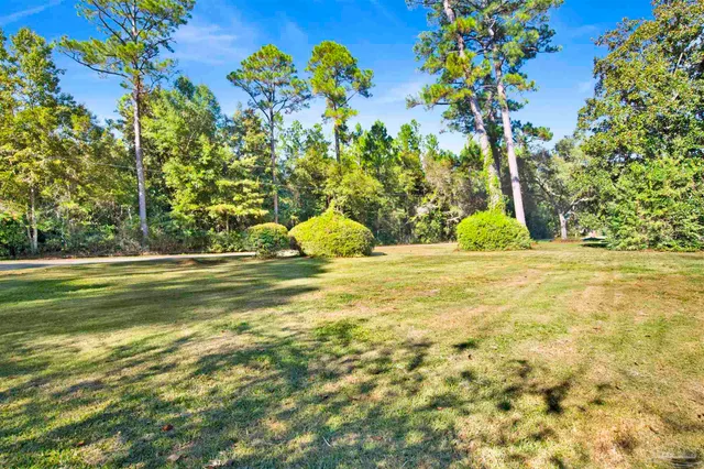 a view of swimming pool with a garden
