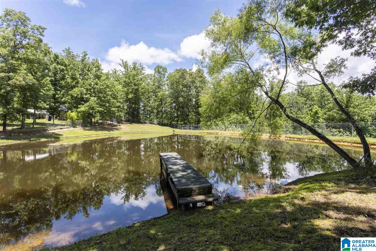 44 Fox Ridge Lane Warrior, AL 35180 - Photo 3 of 32