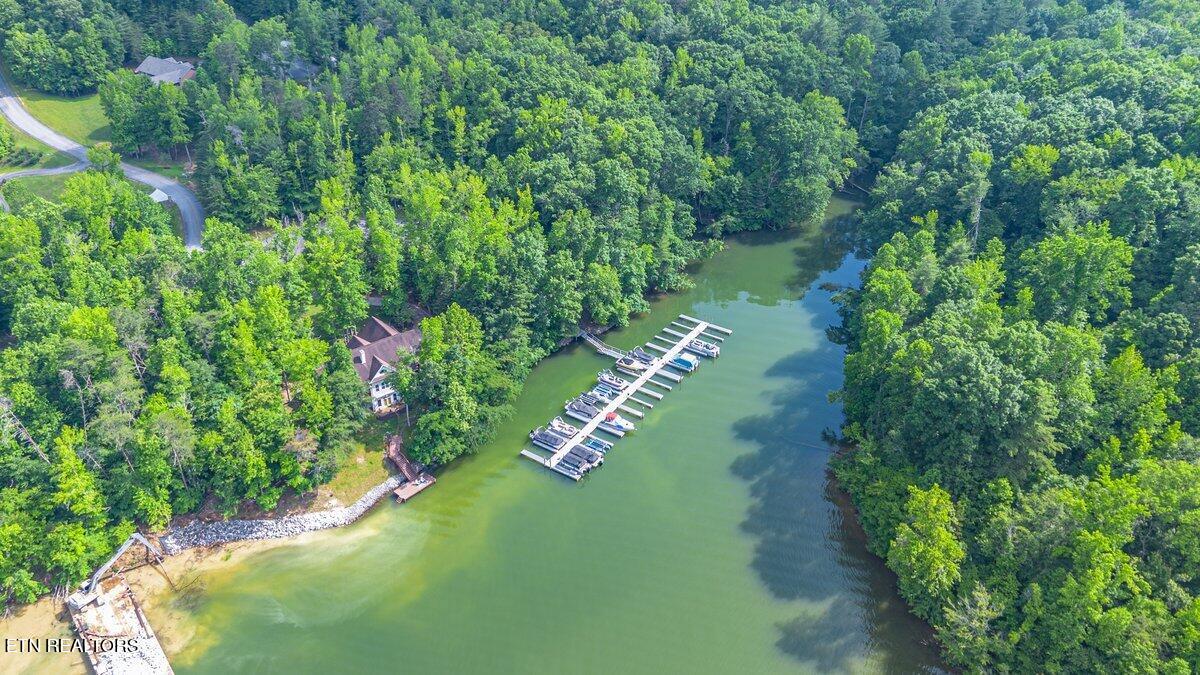 0 Crystal Springs Road Rockwood, TN 37854 - Photo 14 of 24 CS 18