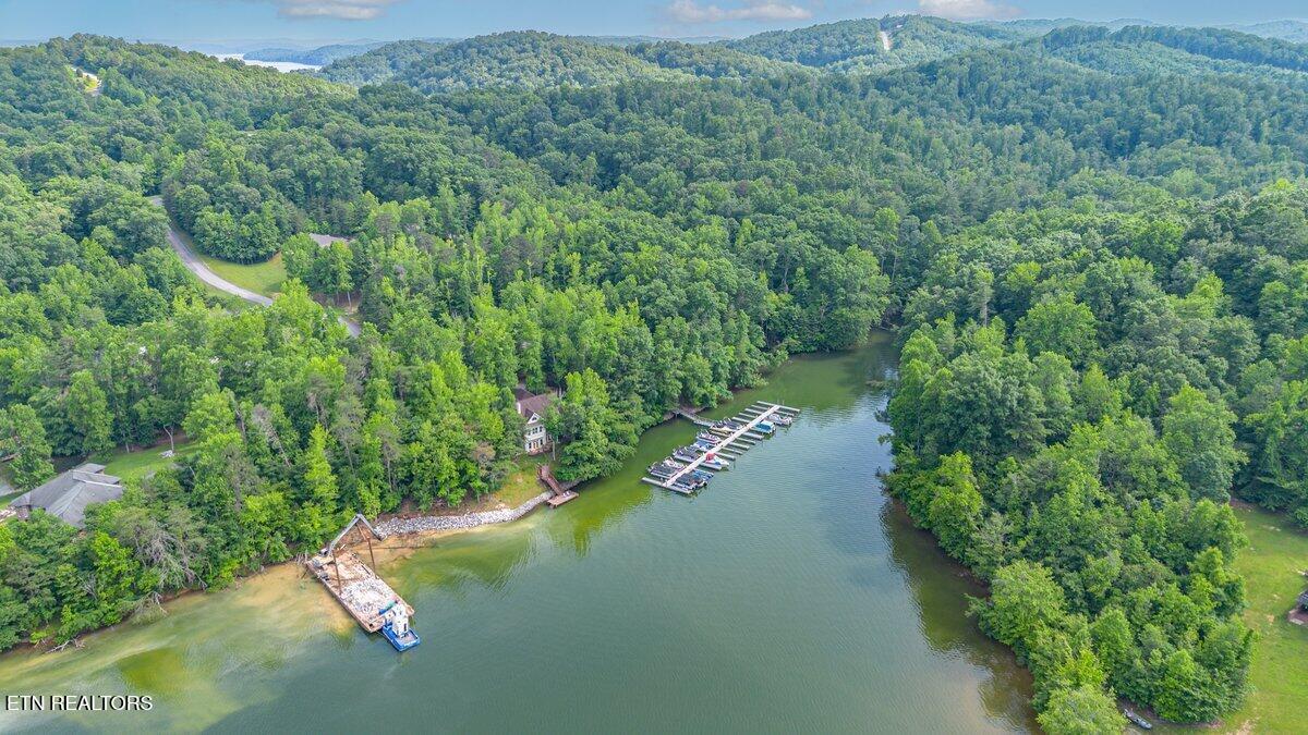 0 Crystal Springs Road Rockwood, TN 37854 - Photo 21 of 24 CS 32