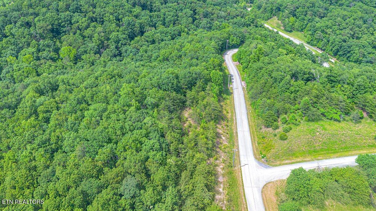 0 Crystal Springs Road Rockwood, TN 37854 - Photo 5 of 24 CS 8