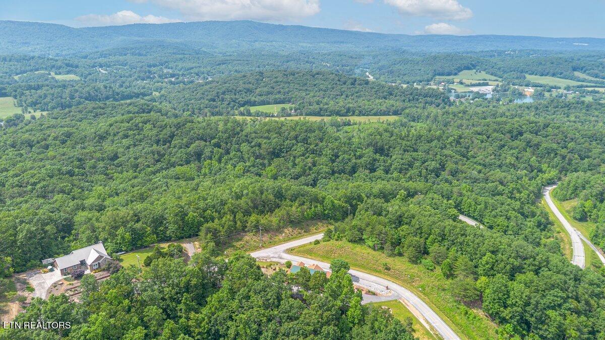0 Crystal Springs Road Rockwood, TN 37854 - Photo 9 of 24 CS 11