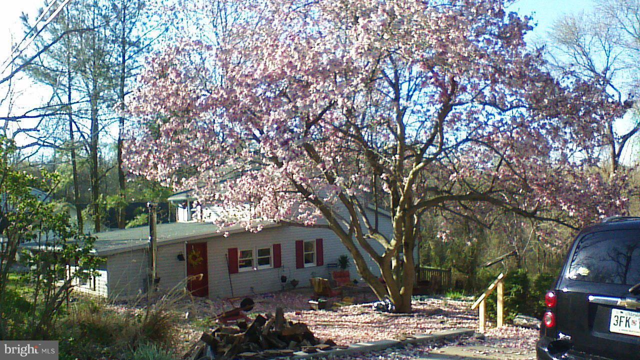 588 McKinneytown Road Elkton, MD 21921 - Photo 1 of 20 Exterior (Front)